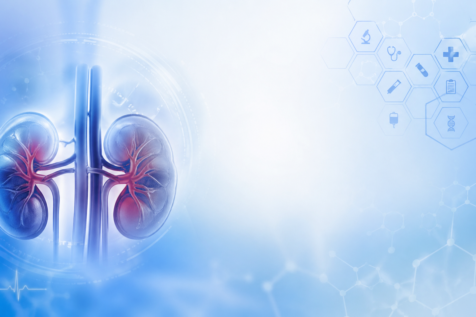4eme Congrès de Néphrologie Pédiatrique d'Oran